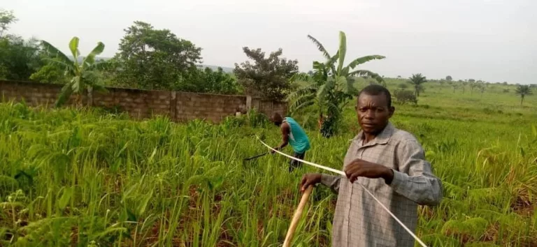 Sono partiti i lavori per la costruzione del secondo lotto